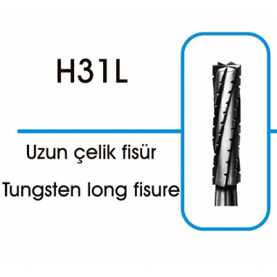 Tungsten Long Fisure H31L